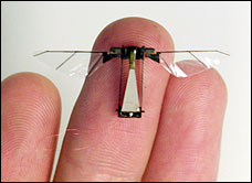 robobugs.jpg